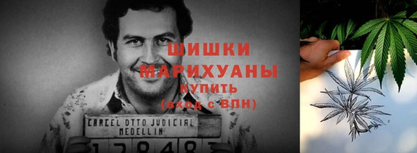прущие грибы Михайловск