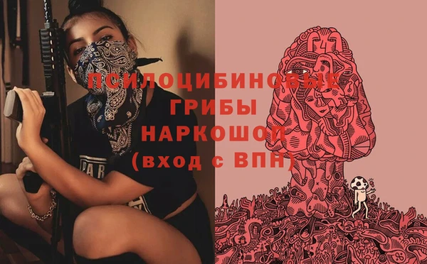 гидропоника Медногорск