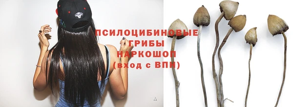 прущие грибы Михайловск