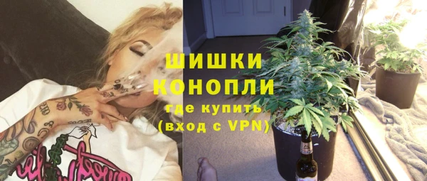 прущие грибы Михайловск